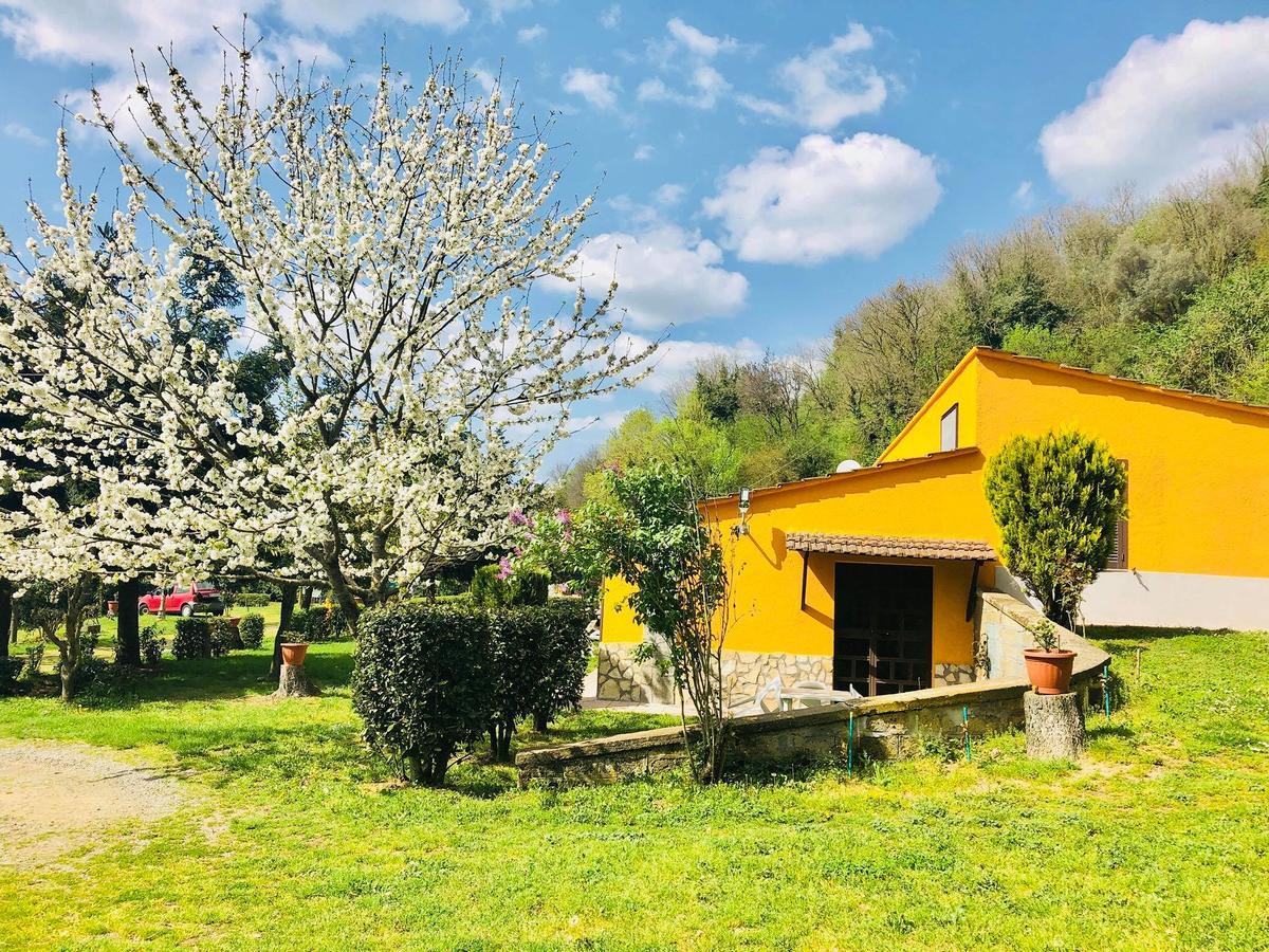 Agriturismo Pianezze Villa Grotte di Castro Exterior photo